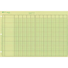 Rediform National Side Punched Analysis Pads