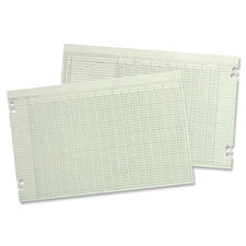 Acco/Wilson Jones Columnar Ruled Ledger Sheets