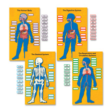 Carson Human Body Bulletin Board Set