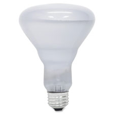 GE Lighting Reveal 65-watt R30 Floodlight