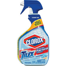 Clorox Plus Tilex Mildew Remover Spray