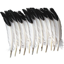 Pacon Creativity Street Imitation Eagle Feathers
