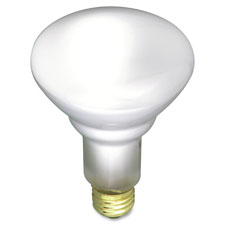 Satco 65-watt BR30 Incandescent Floodlight