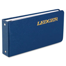 Acco/Wilson Jones Ring Binder Ledger Outfits