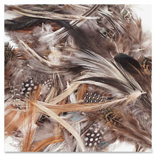 Chenille Kraft Natural Feathers