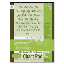 Pacon Ecololgy Unruled Recycled Chart Pad